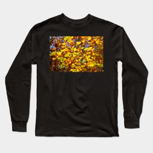 Brightly colored autumn leaves on a beech tree Long Sleeve T-Shirt